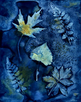 Washed Wet Cyanotype