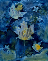 Washed Wet Cyanotype