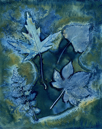 Washed Wet Cyanotype