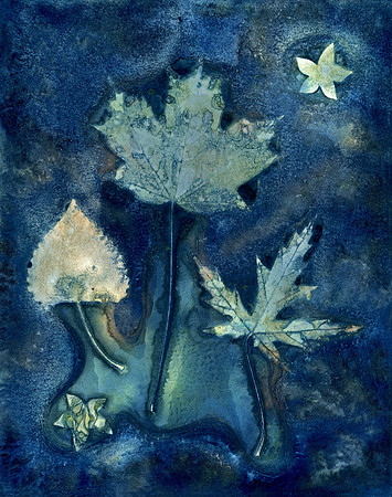 Washed Wet Cyanotype