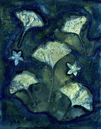 Washed Wet Cyanotype