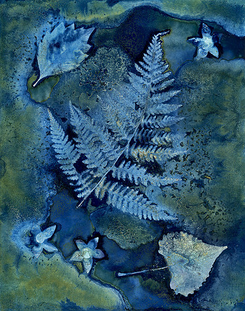 Washed Wet Cyanotype