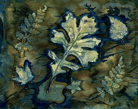 Washed Wet Cyanotype