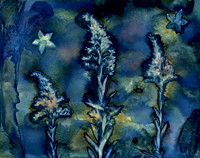 Washed Wet Cyanotype