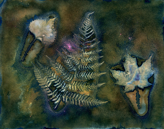 Washed Wet Cyanotype