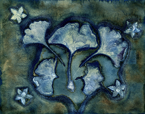 Washed Wet Cyanotype