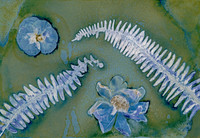 Washed Wet Cyanotype