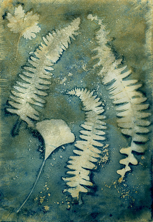 Washed & Bleached Wet Cyanotype