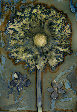 Pre-Washed Wet Cyanotype