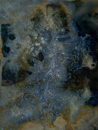 Environmental Cyanotype - Created On-Location