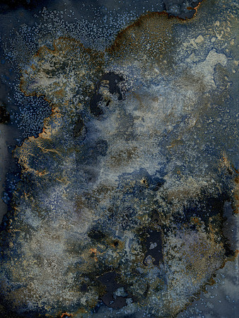 Environmental Cyanotype - Created On-Location