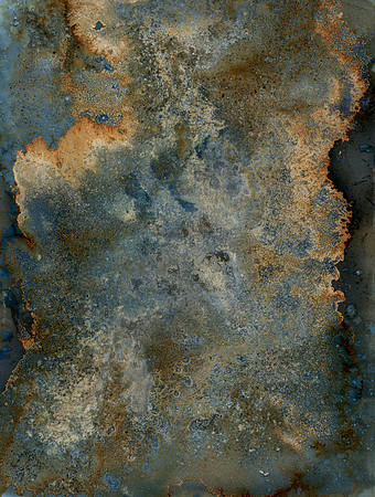 Environmental Cyanotype - Created On-Location