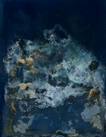 Unwashed Experimental Wet Cyanotype