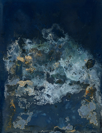 Unwashed Experimental Wet Cyanotype