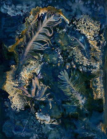 Unwashed Experimental Wet Cyanotype