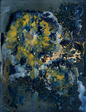 Unwashed Experimental Wet Cyanotype