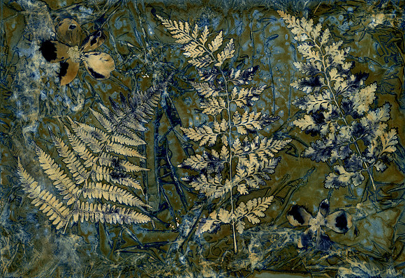 Pre-Washed Wet Cyanotype