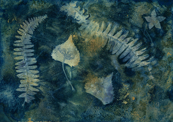 Washed Wet Cyanotype