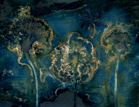 Unwashed Experimental Wet Cyanotype