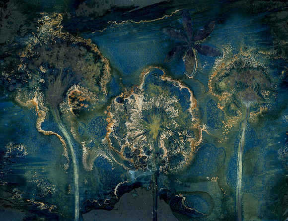Unwashed Experimental Wet Cyanotype