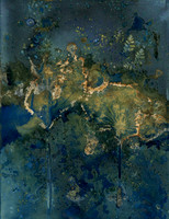 Unwashed Experimental Wet Cyanotype