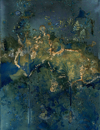 Unwashed Experimental Wet Cyanotype
