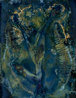 Unwashed Experimental Wet Cyanotype