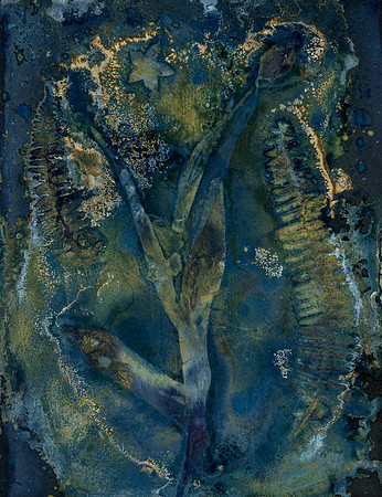 Unwashed Experimental Wet Cyanotype