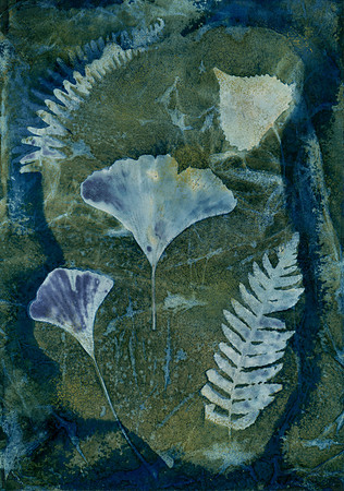 Washed Wet Cyanotype