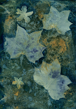 Washed Wet Cyanotype