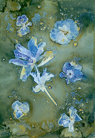 Washed Wet Cyanotype