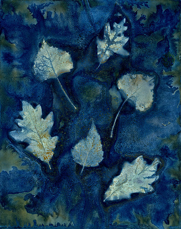 Washed Wet Cyanotype