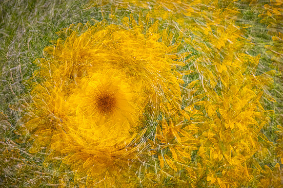 Santa Fe Botanical Garden