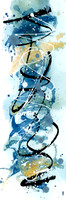 Cyanotype & Ink on Paper
