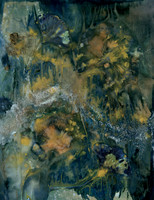 Unwashed Experimental Wet Cyanotype