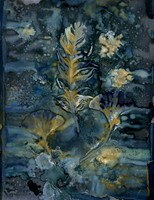 Expressive Cyanotypes
