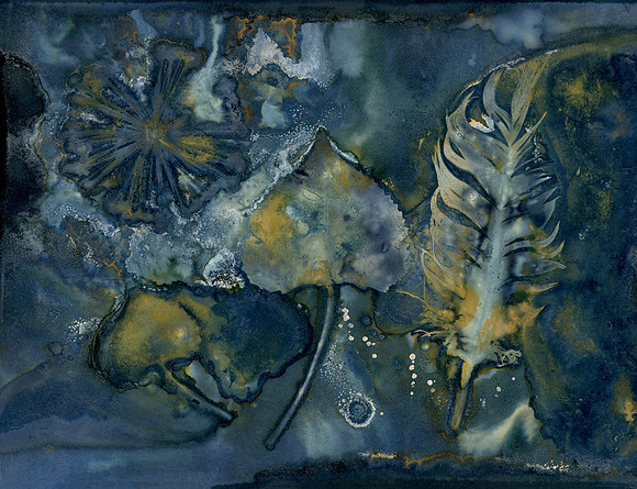 Unwashed Experimental Wet Cyanotype