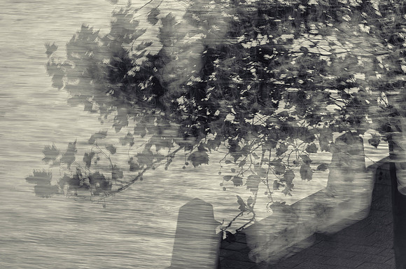 Barbara Brown (Australia)