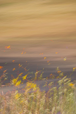 Valles Caldera