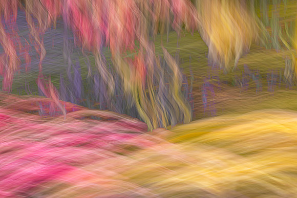 Botanical Garden