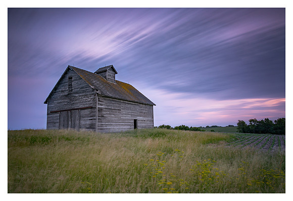 Sentinel on the Prairie - Near Mt Pleasant