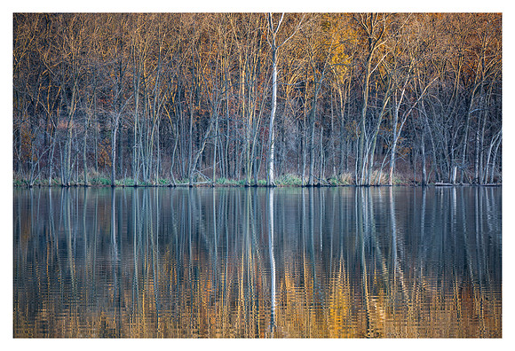 Sunlit Reflections - Lake Darling State Park, Iowa