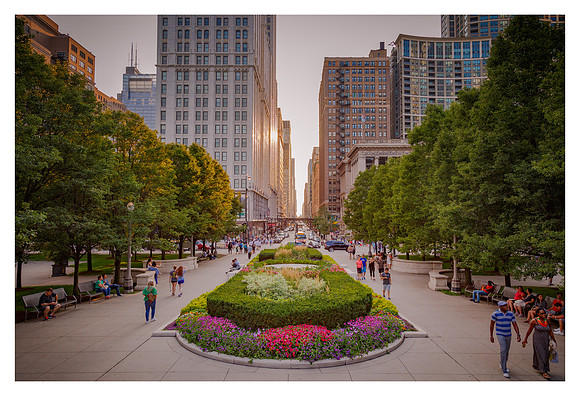 Chicago - View Down Washington Street