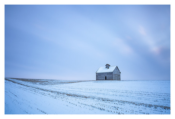Snow Among the Corn Rows - Near Mt Pleasant