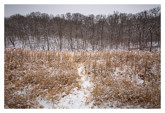 First Snow - Geode State Park