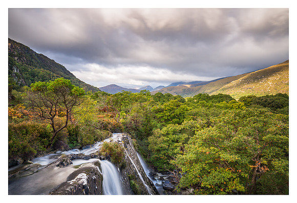 Kerry - Tower Wood Falls, Killarney National Park