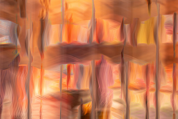 Zona Centro Shop Window