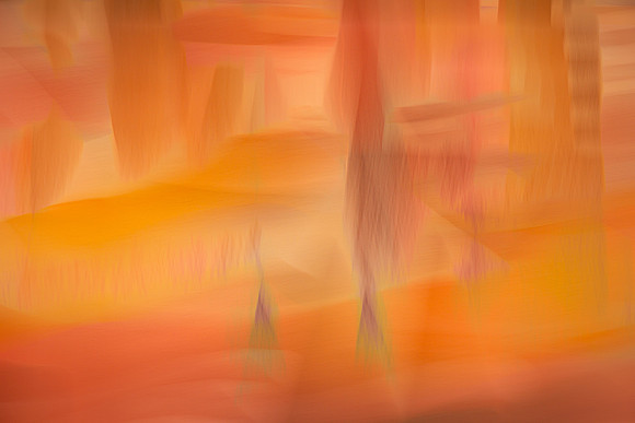 Canyon Road