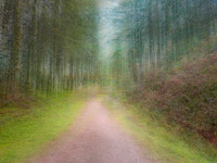 Trossachs, Scotland