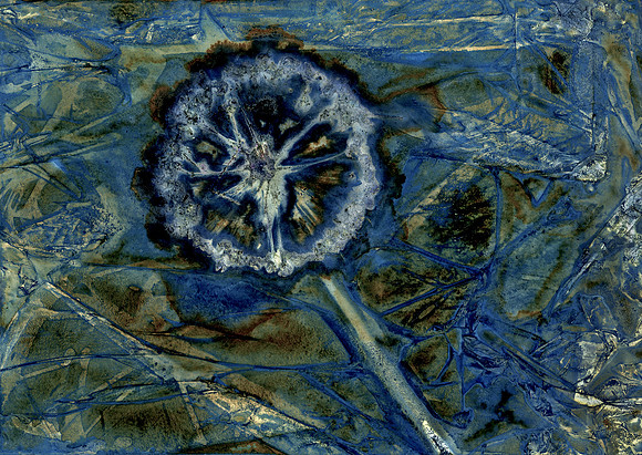 Washed Wet Cyanotype